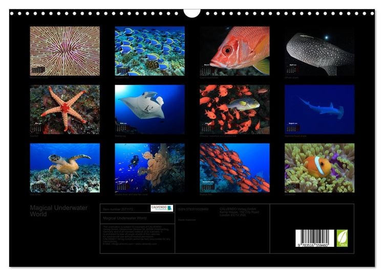 Produktbild: Magical Underwater World (Wall Calendar 2026 DIN A3 landscape), CALVENDO 12 Month Wall Calendar