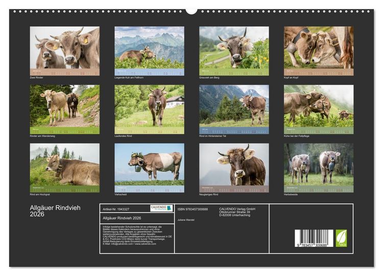Produktbild: Allg&auml;uer Rindvieh 2026 (hochwertiger Premium Wandkalender 2026 DIN A2 quer), Kunstdruck in Hochglanz
