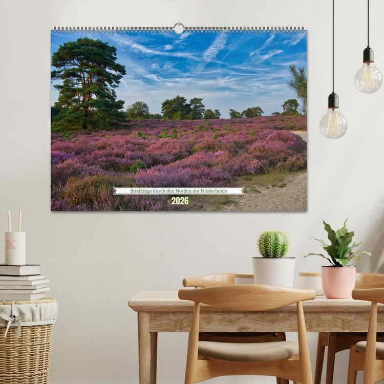 Produktbild: Streifz&uuml;ge durch den Norden der Niederlande (Wandkalender 2026 DIN A2 quer), CALVENDO Monatskalender