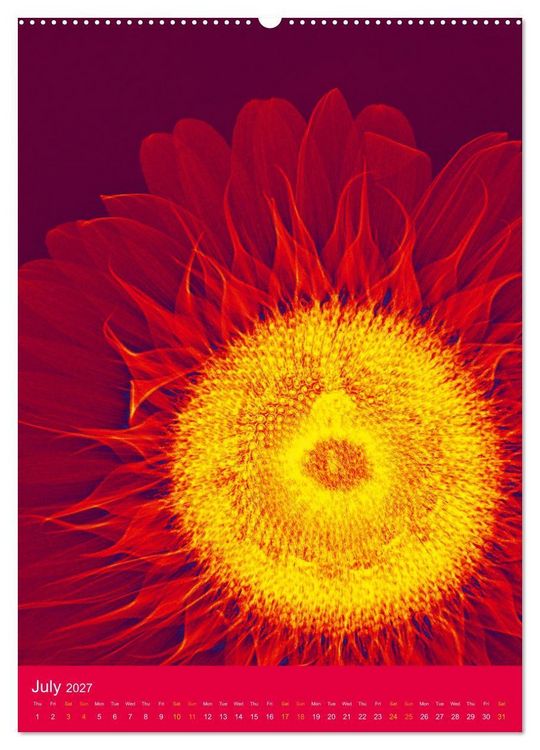 Produktbild: Blossoms between light and colour (Wall Calendar 2027 DIN A2 portrait), CALVENDO 12 Month Wall Calendar
