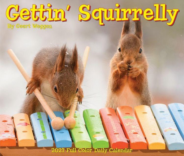 Produktbild: Gettin' Squirrelly 2027 5.4 X 6.2 Box Calendar