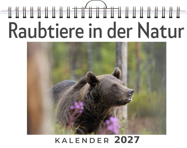 Produktbild: Raubtiere in der Natur
