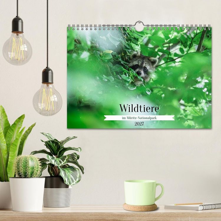 Produktbild: Wildtiere im M&uuml;ritz-Nationalpark (Wandkalender 2027 DIN A4 quer), CALVENDO Monatskalender