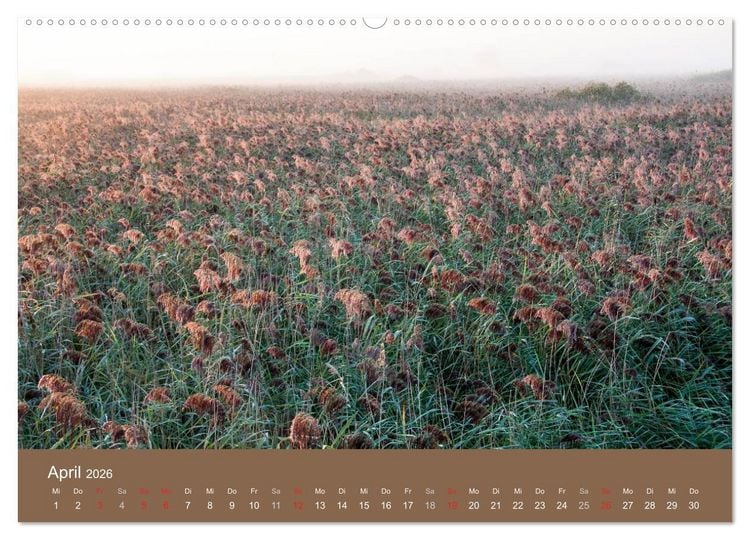 Produktbild: Der Federsee - Vogelparadies in Oberschwaben (Wandkalender 2026 DIN A2 quer), CALVENDO Monatskalender