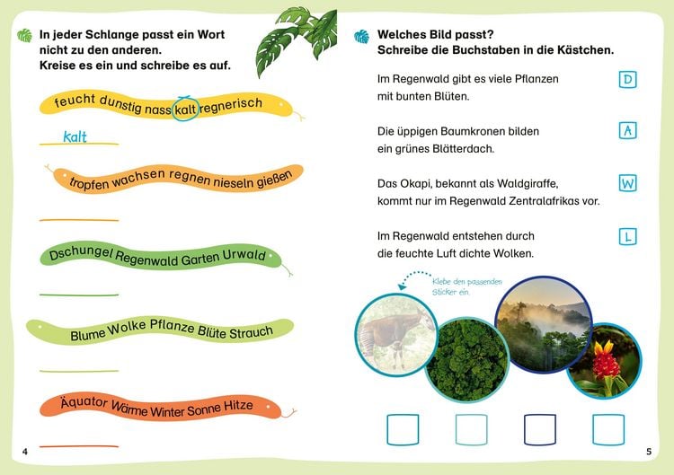 Produktbild: WAS IST WAS Erstes Lesen. Leser&auml;tsel Regenwald