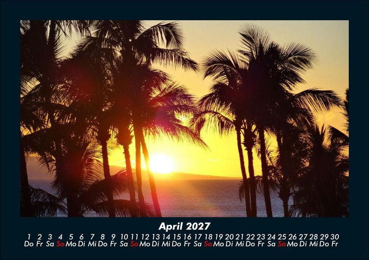 Produktbild: Palmentraum 2027 Fotokalender DIN A5