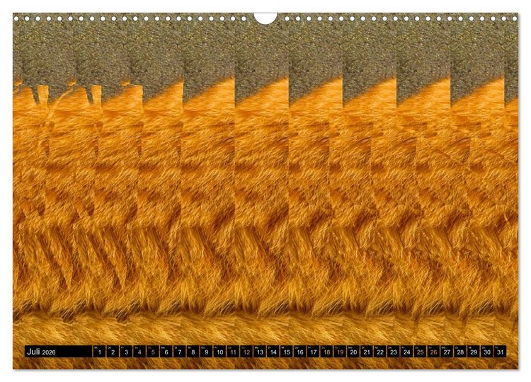 Produktbild: Magische Bilder - 3D Stereogramme (Wandkalender 2026 DIN A3 quer), CALVENDO Monatskalender