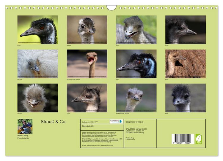 Produktbild: Strau&szlig; & Co. (Wandkalender 2026 DIN A3 quer), CALVENDO Monatskalender