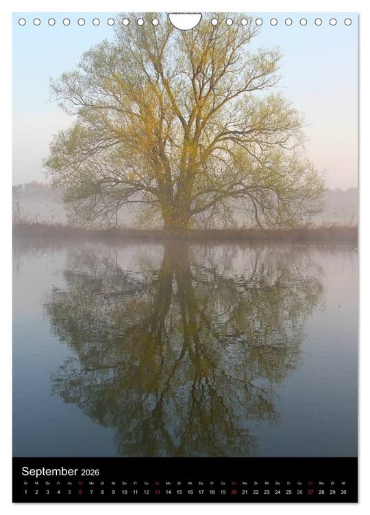 Produktbild: Gespiegelte Natur (Wandkalender 2026 DIN A4 hoch), CALVENDO Monatskalender