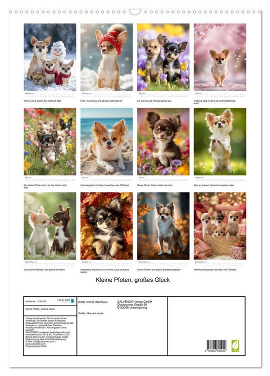 Produktbild: Kleine Pfoten, gro&szlig;es Gl&uuml;ck (Wandkalender 2027 DIN A2 hoch), CALVENDO Monatskalender