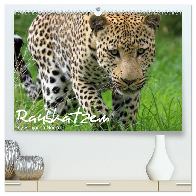 Produktbild: Raubkatzen (hochwertiger Premium Wandkalender 2026 DIN A2 quer), Kunstdruck in Hochglanz