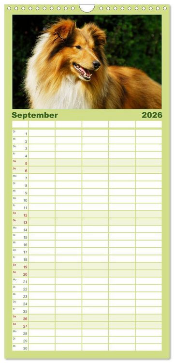 Produktbild: Familienplaner 2026 - Sheltie 2026 mit 5 Spalten (Wandkalender, 21 x 45 cm) CALVENDO