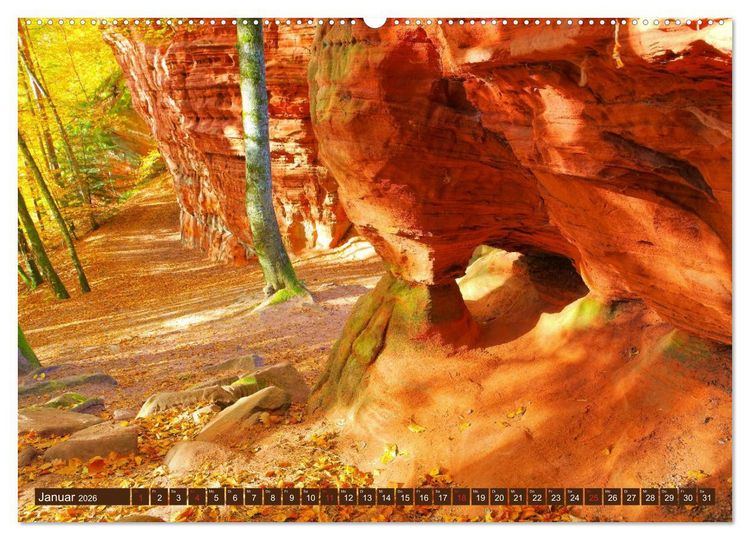 Produktbild: Der Altschlossfelsen - Gr&ouml;&szlig;te Felsformation der Pfalz im herbstlichen Farbspiel (hochwertiger Premium Wandkalender 2026 DIN A2 quer), Kunstdruck in Hochglanz