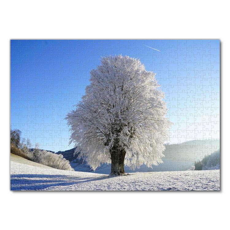 Produktbild: Lais Puzzle Winterlandschaft 500 Teile