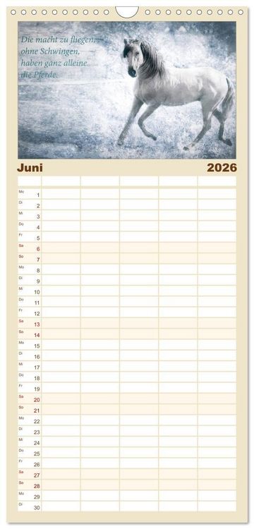 Produktbild: Familienplaner 2026 - Pferde zum Tr&auml;umen mit 5 Spalten (Wandkalender, 21 x 45 cm) CALVENDO