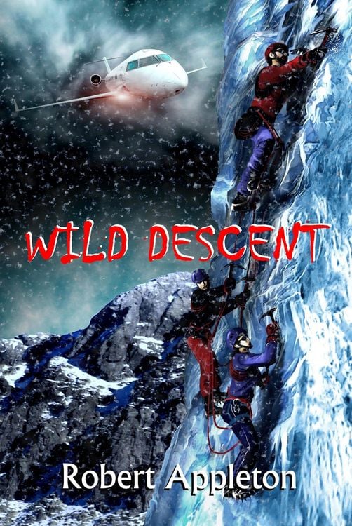 Produktbild: Wild Descent (Beyond Limits Book 2)