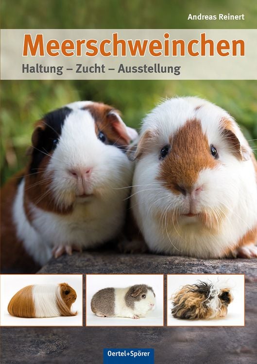 Produktbild: Meerschweinchen