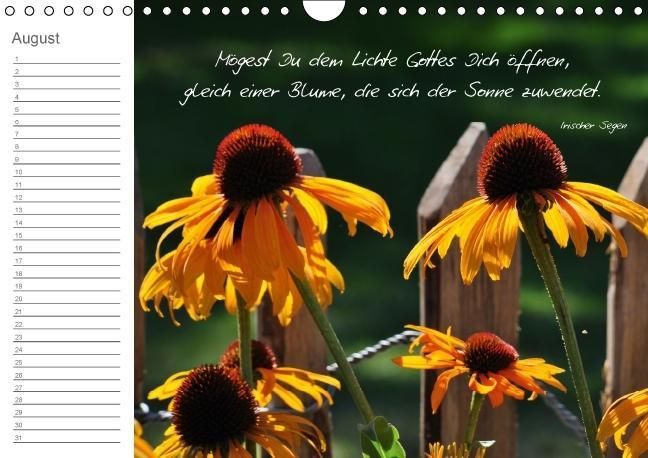 Produktbild: LEBENSGL&Uuml;CK (Wandkalender immerw&auml;hrend DIN A4 quer)