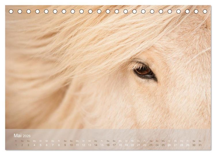 Produktbild: Islandpferde - Stolz und Stark durch Sommer und Winter (Tischkalender 2026 DIN A5 quer), CALVENDO Monatskalender