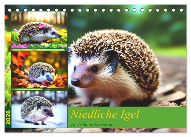 Produktbild: Niedliche Igel (Tischkalender 2026 DIN A5 quer), CALVENDO Monatskalender