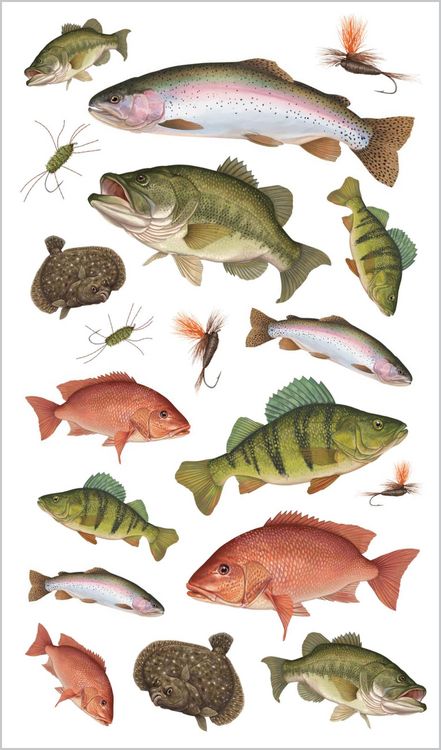 Produktbild: The Perfect Catch of Tattoo Fish