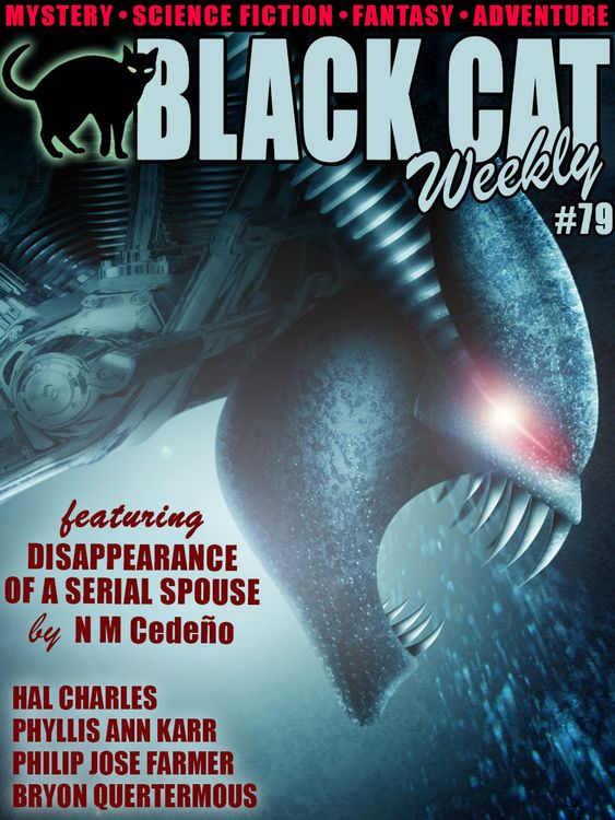 Produktbild: Black Cat Weekly #79