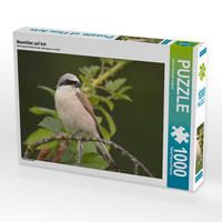 Produktbild: CALVENDO Puzzle Neunt&ouml;ter auf Ast | 1000 Teile Lege-Gr&ouml;&szlig;e 64x48cm Foto-Puzzle f&uuml;r gl&uuml;ckliche Stunden