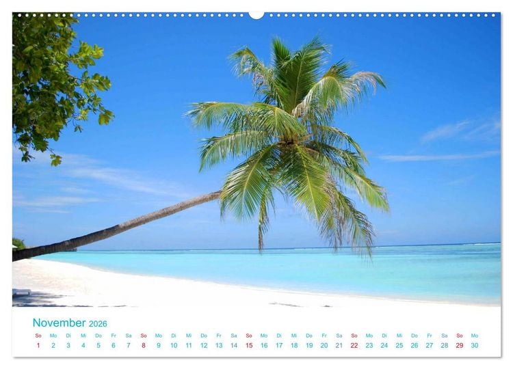 Produktbild: Unter Palmen 2026. Impressionen von den sch&ouml;nsten Str&auml;nden der Welt (Wandkalender 2026 DIN A2 quer), CALVENDO Monatskalender