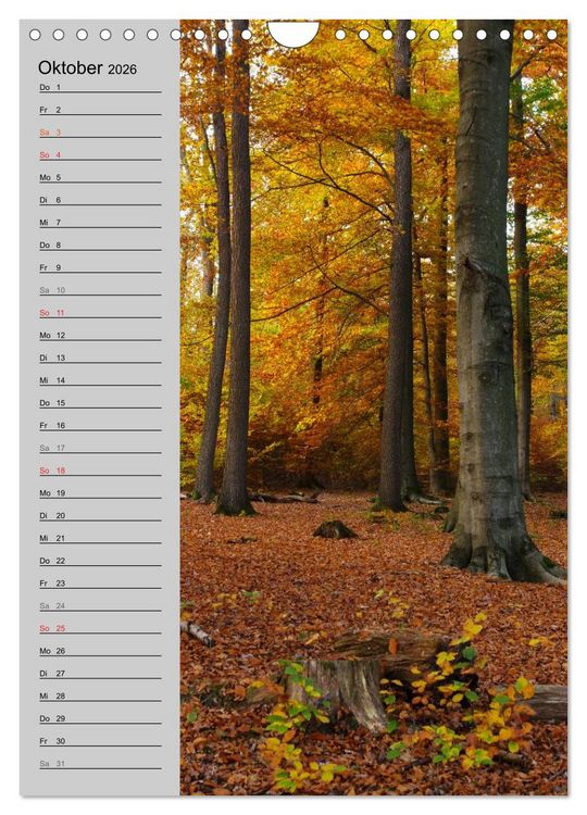 Produktbild: Traumhaftes Siegerland 2026 (Wandkalender 2026 DIN A4 hoch), CALVENDO Monatskalender