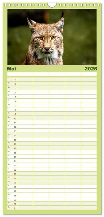 Produktbild: Familienplaner 2026 - Der Luchs - Begegnungen mit einer Raubkatze mit 5 Spalten (Wandkalender, 21 x 45 cm) CALVENDO