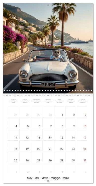 Produktbild: Le duc gris en voyage (Calendrier mural carr&eacute; 2026 30x30 cm) Calendrier double avec une page pour vos prises de notes