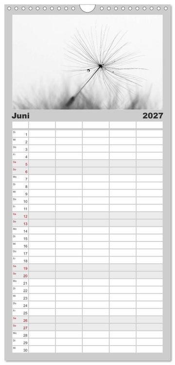 Produktbild: Familienplaner 2027 - Pusteblume - Impressionen in schwarzwei&szlig; mit 5 Spalten (Wandkalender, 21 x 45 cm) CALVENDO