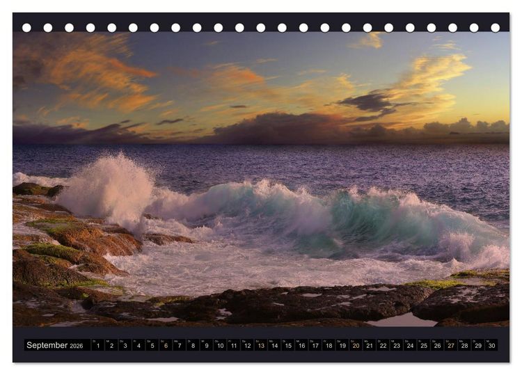 Produktbild: wildes Teneriffa (Tischkalender 2026 DIN A5 quer), CALVENDO Monatskalender