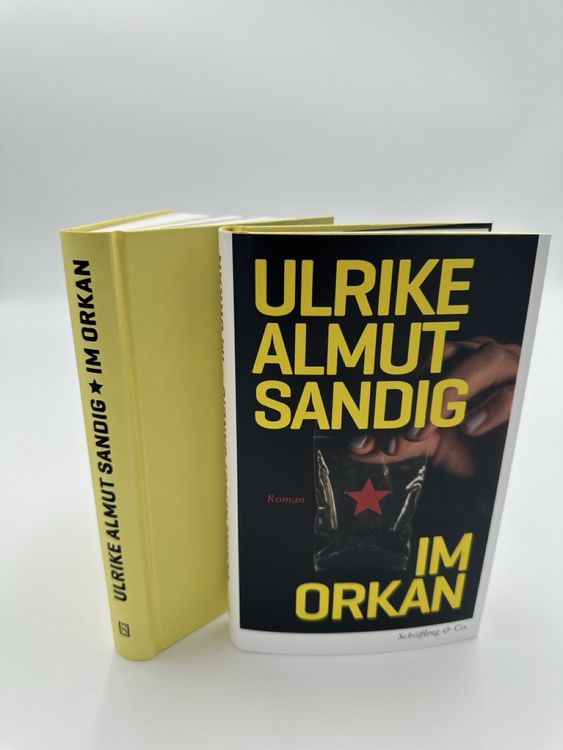 Produktbild: Im Orkan