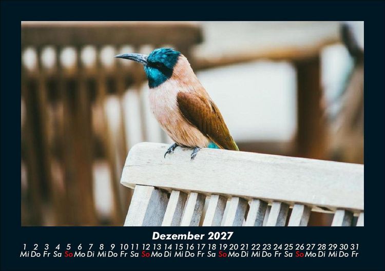 Produktbild: Tierkalender 2027 Fotokalender DIN A5