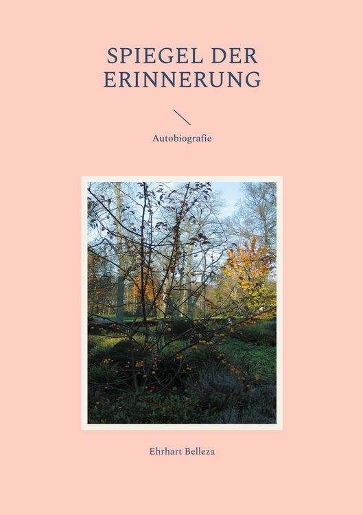 Produktbild: Spiegel der Erinnerung