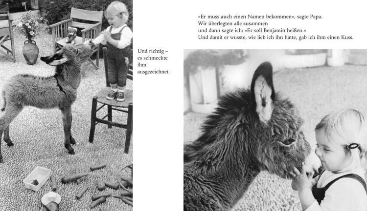 Produktbild: Mein Esel Benjamin (Mini-Ausgabe)