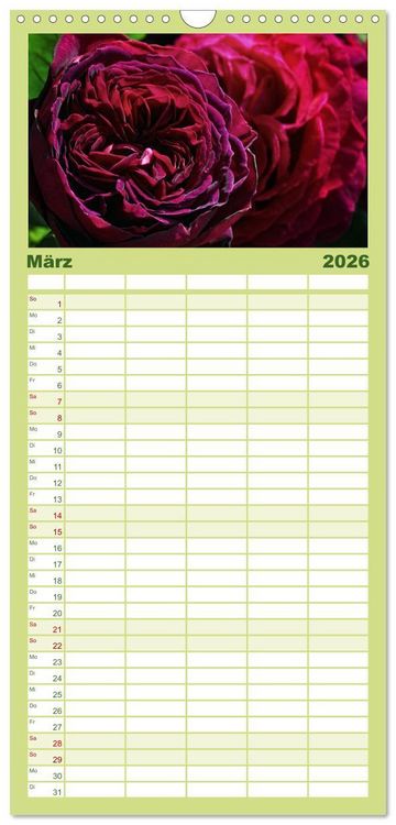 Produktbild: Familienplaner 2026 - Rosen Reigen im Garten mit 5 Spalten (Wandkalender, 21 x 45 cm) CALVENDO