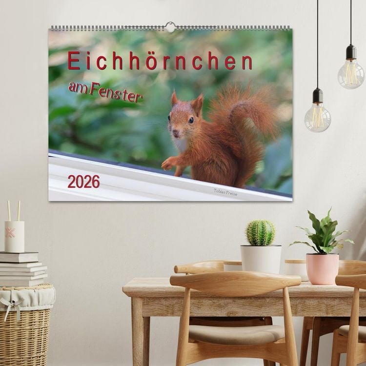 Produktbild: Eichh&ouml;rnchen am Fenster (Wandkalender 2026 DIN A2 quer), CALVENDO Monatskalender