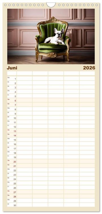 Produktbild: Familienplaner 2026 - Kleine K&ouml;nige - Franz&ouml;sische Bulldoggen mit 5 Spalten (Wandkalender, 21 x 45 cm) CALVENDO