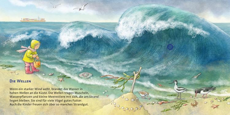 Produktbild: Das Meer / Hör mal Band 8