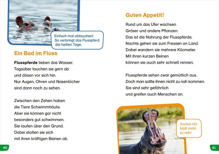 Produktbild: WAS IST WAS Erstes Lesen easy! Tiere in Afrika