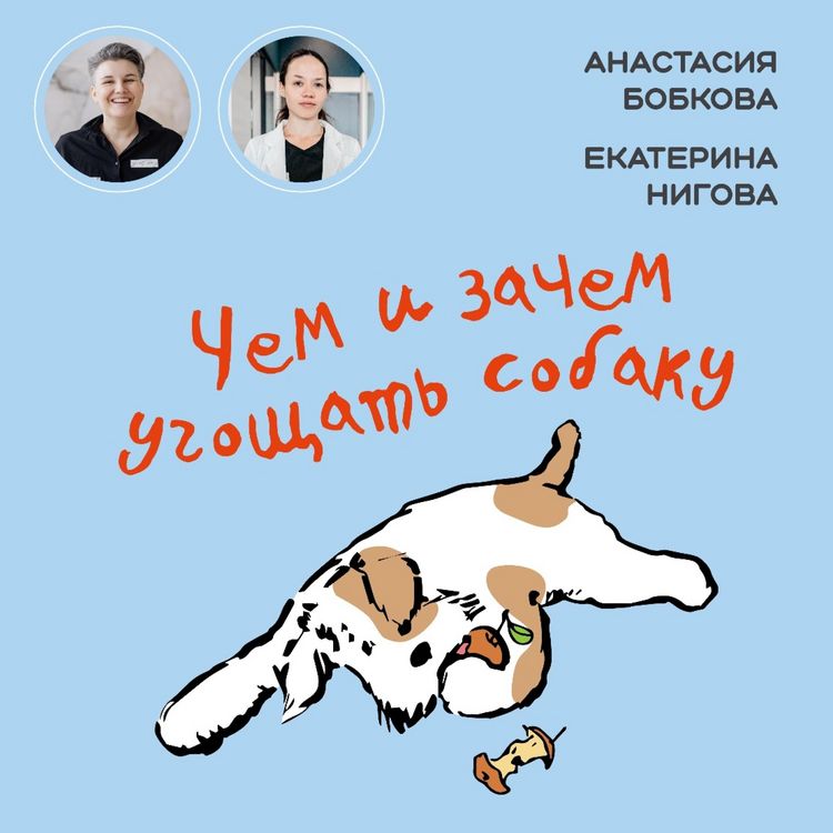 Produktbild: CHem i zachem ugoshchat' sobaku