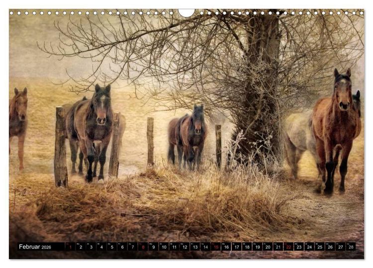 Produktbild: Western und Pferde (Wandkalender 2026 DIN A3 quer), CALVENDO Monatskalender