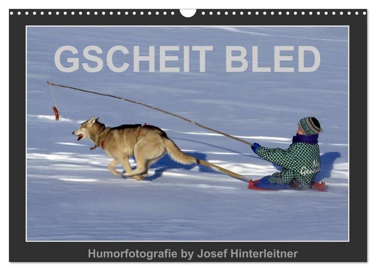 Produktbild: GSCHEIT BLED - Humorfotografie (Wandkalender 2026 DIN A3 quer), CALVENDO Monatskalender