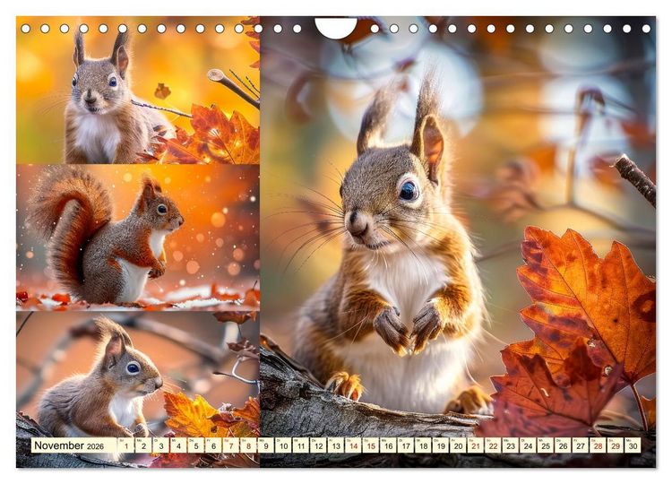 Produktbild: Eichh&ouml;rnchen - tollk&uuml;hne Kletterer (Wandkalender 2026 DIN A4 quer), CALVENDO Monatskalender