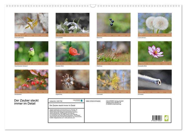 Produktbild: Der Zauber steckt immer im Detail (Wandkalender 2026 DIN A2 quer), CALVENDO Monatskalender