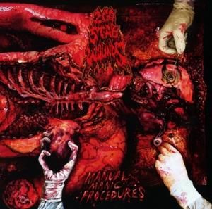 Produktbild: Manual Manic Procedures