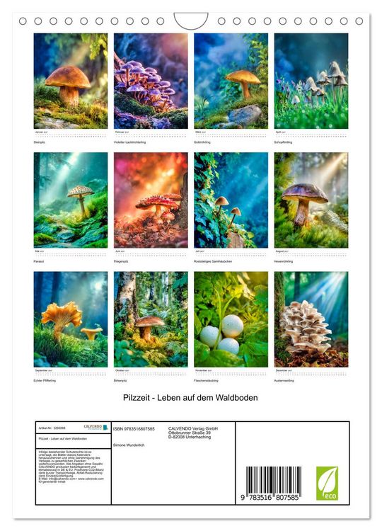 Produktbild: Pilzzeit - Leben auf dem Waldboden (Wandkalender 2027 DIN A4 hoch), CALVENDO Monatskalender