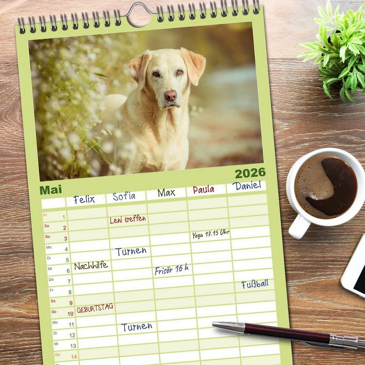 Produktbild: Familienplaner 2026 - Faszination Labrador - gelb, foxred, schwarz mit 5 Spalten (Wandkalender, 21 x 45 cm) CALVENDO